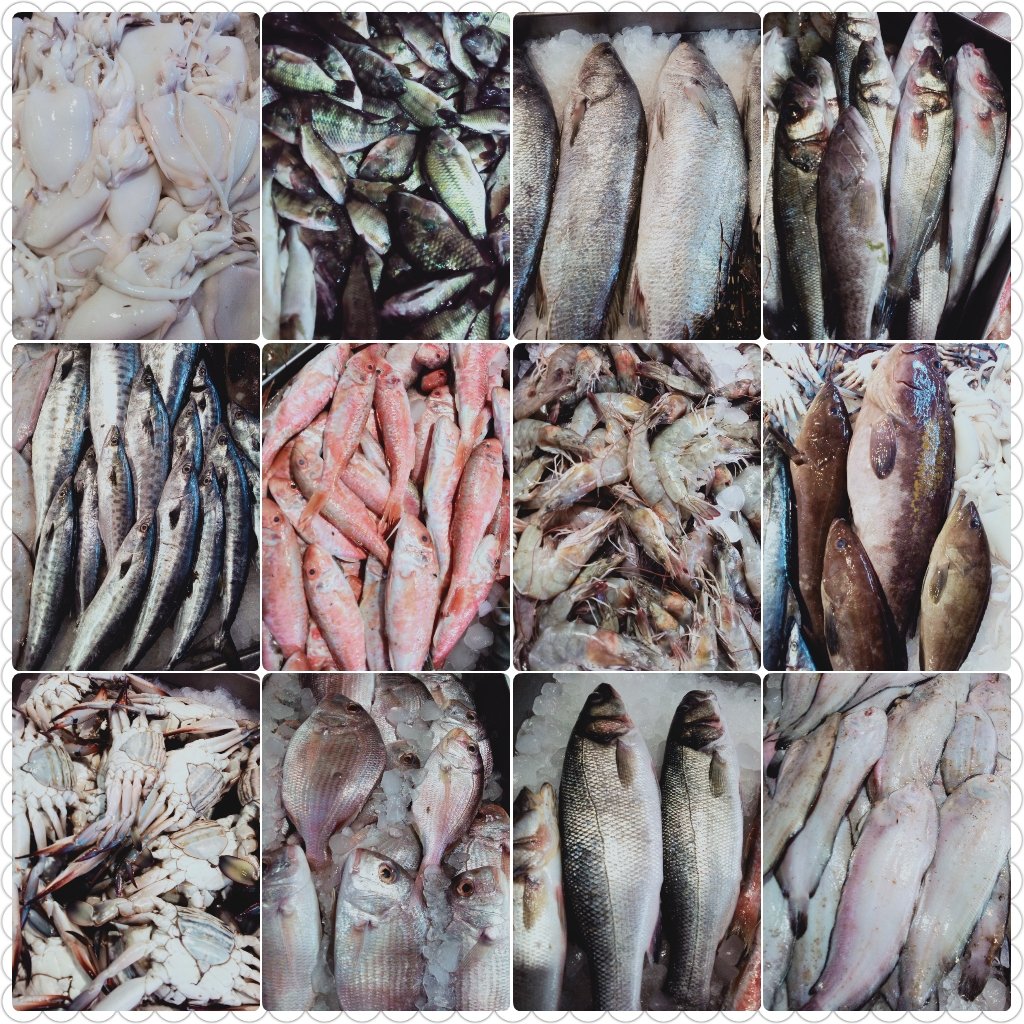 NElsahel's tweet photo. اسماك اليوم الطازجه🦈🍤💯
📞       تواصلوا معنا : 01002223991 - 01286474213 -01030109109
0572520052 -    

*يومك أحلي مع نواره الساحل* 🤗 https://t.co/ERMGJjh0NC