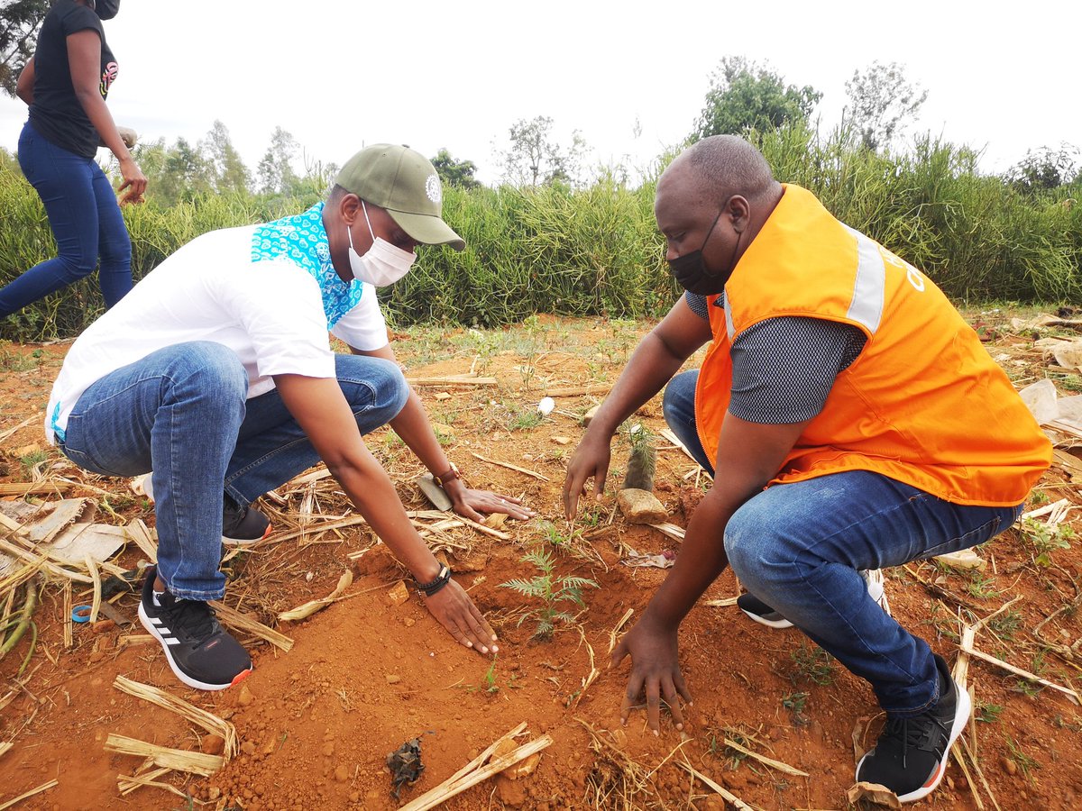 WVRwanda's tweet photo. #HappeningNow: @WVRwanda in partnership with @rckigali is participating in a tree planting event in @BugeseraDistr a bid to mitigate #ClimateChange effects to save lives.
#PlantWithRotary #ServetoChangelives #treeplantingevent https://t.co/sg7HlveGNk