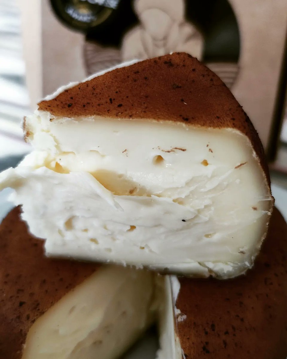 AnaBGonzlezPino's tweet photo. Queso "O Mouro # de #CampoCapela. Una pasta blanda con notas a yogur y nata. Corteza  infusionada con una mezcla de café y canela. Un vicio vamos.. #estamoscomounqueso #abgonzalezpinos #consultoria #formación #culturaquesera #misquesos #queixosgalegos https://t.co/ORoEyRwNHW