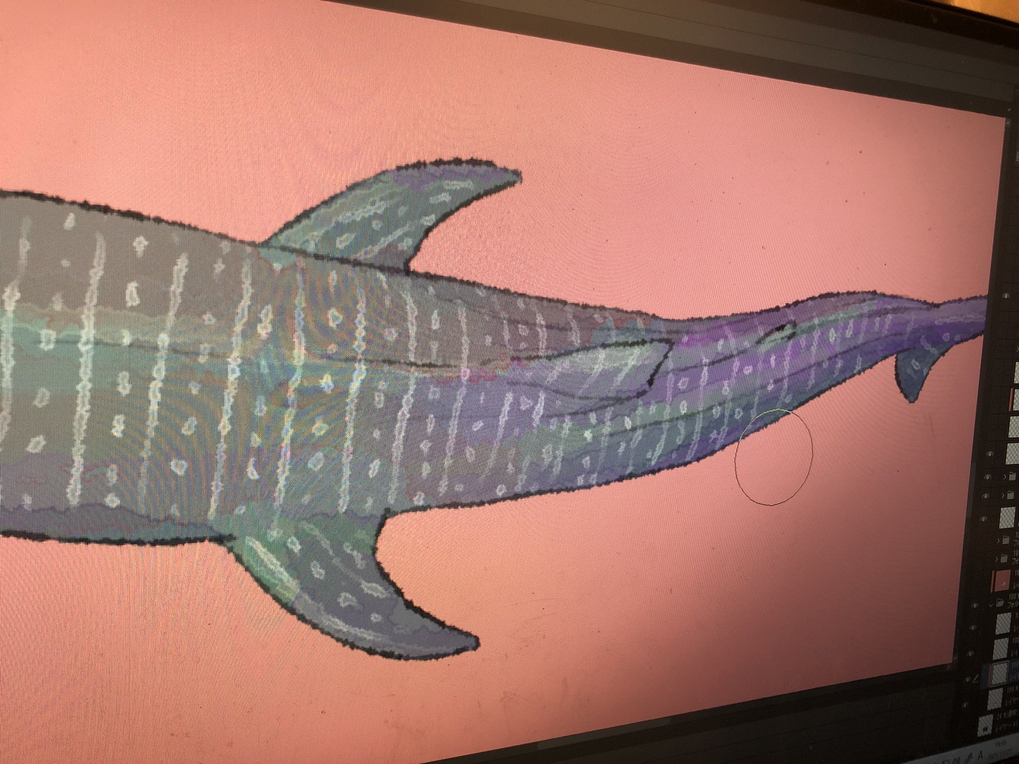 火種 Hidane 今ジンベエザメを描いてるんだけど ジンベエザメの背中ってセクシーだなぁ ってしみじみ思った T Co B0njlvn4rg Twitter