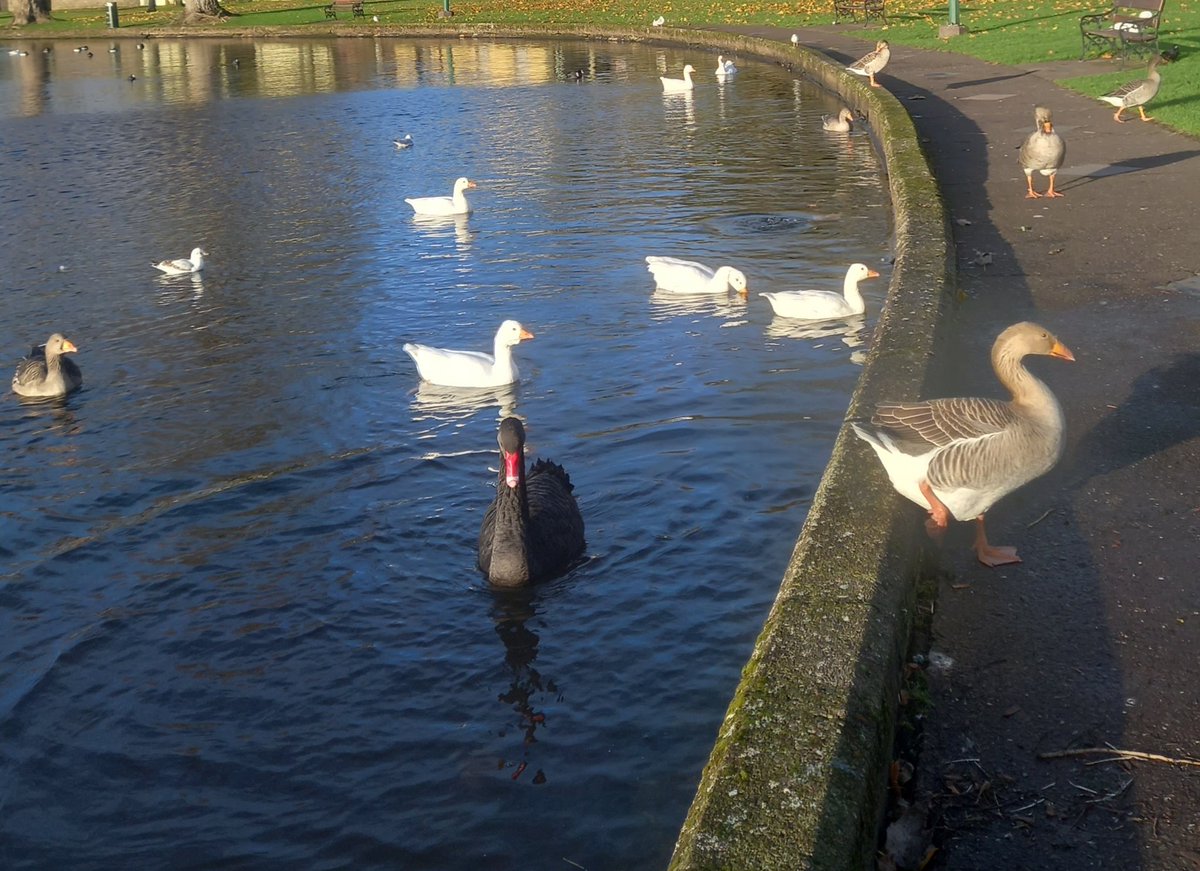 MargaretOC6's tweet photo. #SaturdayMorning #Nov27th #StormHour #Cork https://t.co/ejTmGtVpAE