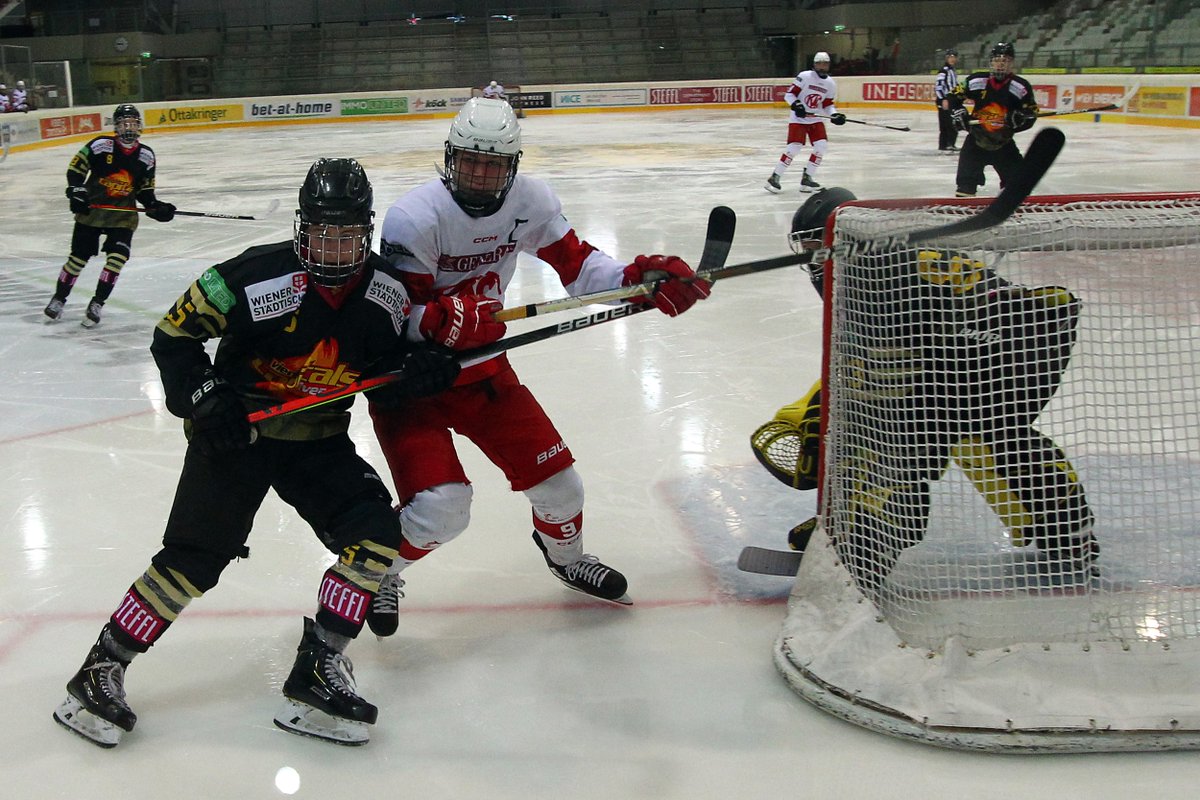 viennacapitals's tweet photo. Unsere U18 Silver Capitals treffen heute in der #ICE Juniors League auswärts auf DVTK.

Am vergangenen Mittwoch fügte das Team von Head-Coach Peter Schweda der U18 des @EC_KAC die erste Saison-Niederlage zu.

https://t.co/iM4hd5xISE

#SilverCaps https://t.co/2dgYs0f0ZC