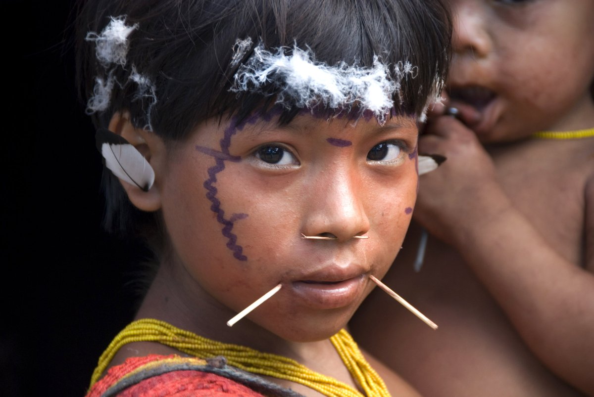 Survival's tweet photo. The #Yanomami are dying of malaria &amp; malnutrition.
#Brazil's gov has banned public health workers from helping.
Airplane companies won't send planes with medicine or evacuate ill ppl.
Only 13 officials are monitoring the territory (size of Portugal) to provide essential services. https://t.co/tQx6f636hM