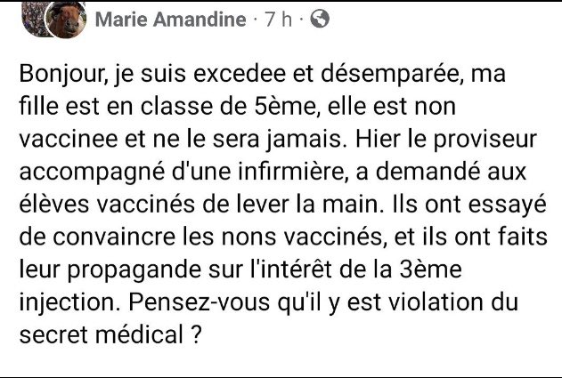 Ann tweet media