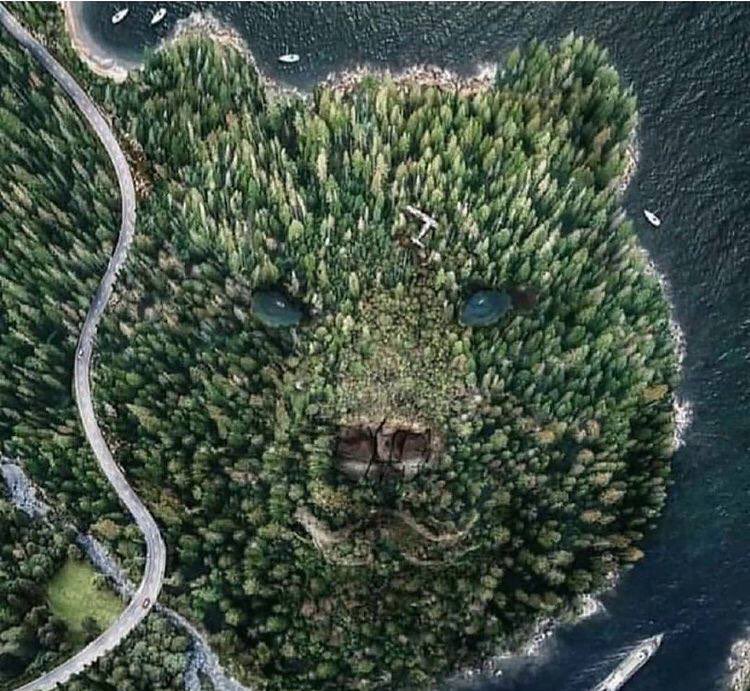 Eamon (@xna648) on Twitter photo 