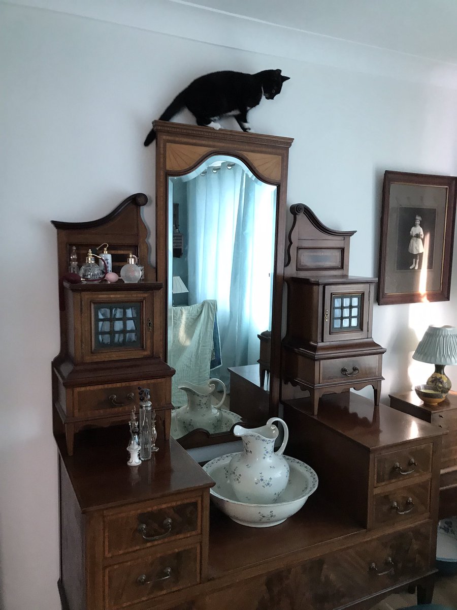 CarolineAldrid5's tweet photo. So Zeneca like to climb. She’s exploring high places. I had to hastily remove the glass bottles on the dressing table do she had a safe landing spot. What she wanted to do was try and jump onto the picture that hangs on the wall! #CatsOfTwitter #SocialWorkPets https://t.co/CrpwXt6oC2