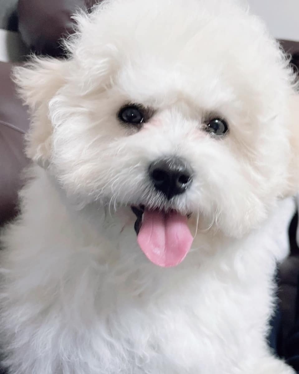 NOOOOOO LOOK AT THEM THEY'RE SO ADORABLE :((