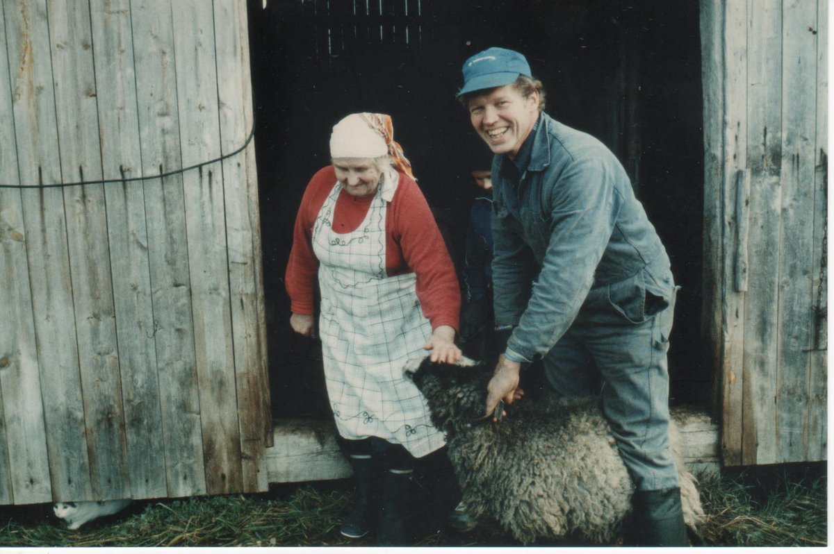 Thanks to Ken Pettey &amp; Pertti Hankonen for this contribution to the book! The Grey Finnish Landrace sheep seemed extinct until some were found in Kainuu  in mid 1980s. A breeding programme began and there are now more than 1000 Kainuunharmas sheep. @Sheepvetsoc @Moreduncomms