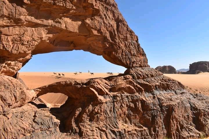 AAdjbane's tweet photo. Excellent week-end à tous sous le regard de cette beauté de Réserve Naturelle et Culturelle de l'Ennedi #RNCE 🇷🇴🇷🇴
Allez faire un tour à la réserve, vous oublierez tous les problèmes du monde ! 
📸 Guemona Djimet, responsable de la réserve. 
🇷🇴 Patrimoines ! https://t.co/N2WL7ZZwe6