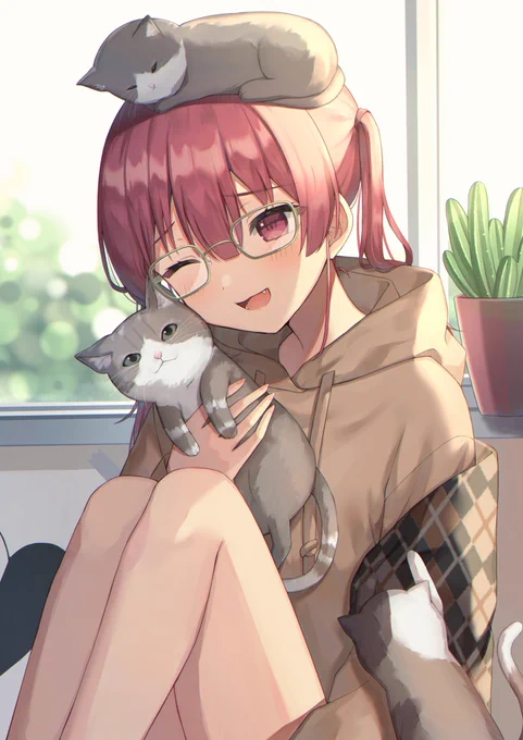 猫と船長
#マリンのお宝 
