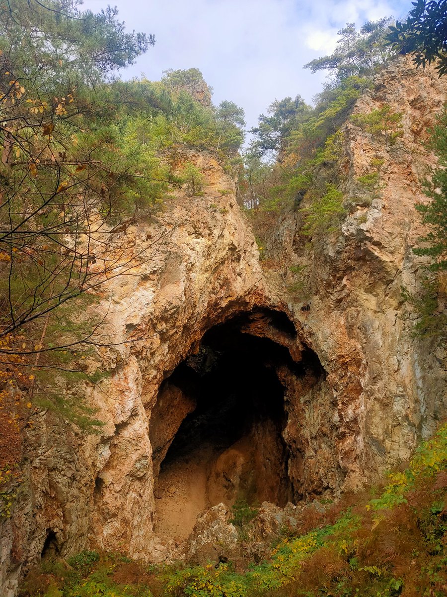 marina_ykym's tweet photo. If you have the chance to visit Sado City, try to visit the #Sado #Gold #Mine. You will feel the history.
There are many dolls in the mine and they can give you a lot of information.
People dug the #mountain by hand, and the top is broken.This is called "#Doyu no #Warito". https://t.co/UN5POQUsqn