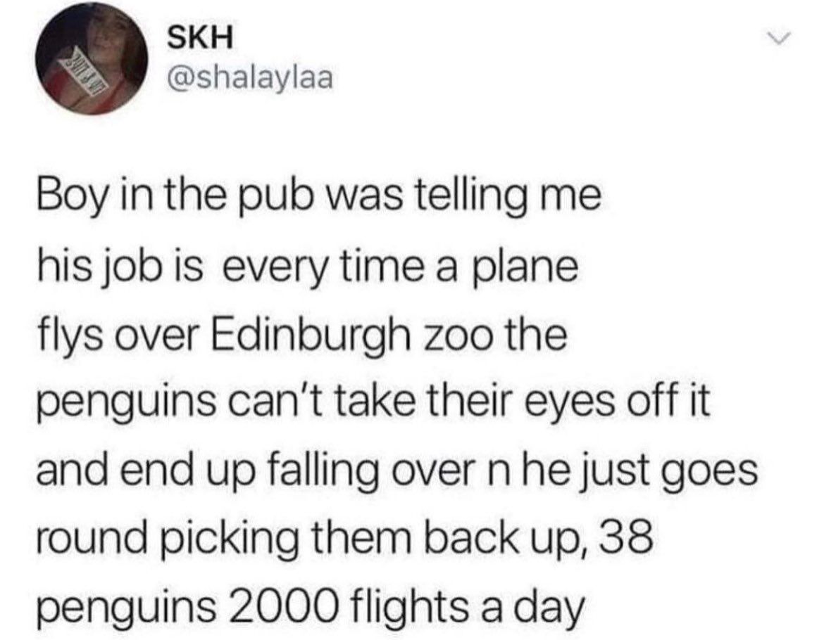 EdinburghZoo's tweet photo. ⚠️URBAN MYTH ALERT⚠️

While we usually do our best not to crush the internet's hopes and dreams, we do need to debunk this particularly persistant rumour... Sadly, the boy in the pub proved unreliable and there is no such thing as a penguin erector 🤥 (1/2) https://t.co/SUUA7hgeAC