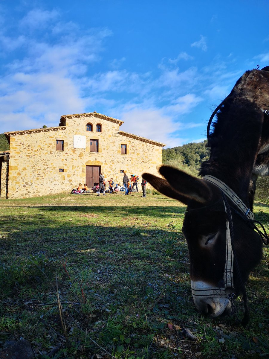 RucsGavarres's tweet photo. Les llúdrigues i els castors de l'@AEiGLaClaca de #Cassàdelaselva han pujat caminant fins al refugi del Roquetal. Ep! Sense motxilles, que les traginavem nosaltres! https://t.co/SlsRL7Ja69