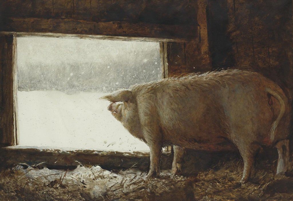 SanatnTarihi's tweet photo. Jamie Wyeth'in 1975 yılında yaptığı "Kış Domuzu" adlı eseri. 🐷 https://t.co/NoXYTvBdRY