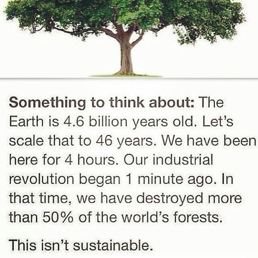 I found this statement on the web eight years ago and I think it has become even more important. Climate crisis explained quickly and clearly. I ask myself now, when will this madness be stopped and when will we finally start to act?🌲🌳🌱🍀💚💚