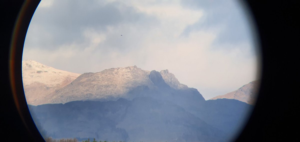 Alan Crawford tweet media