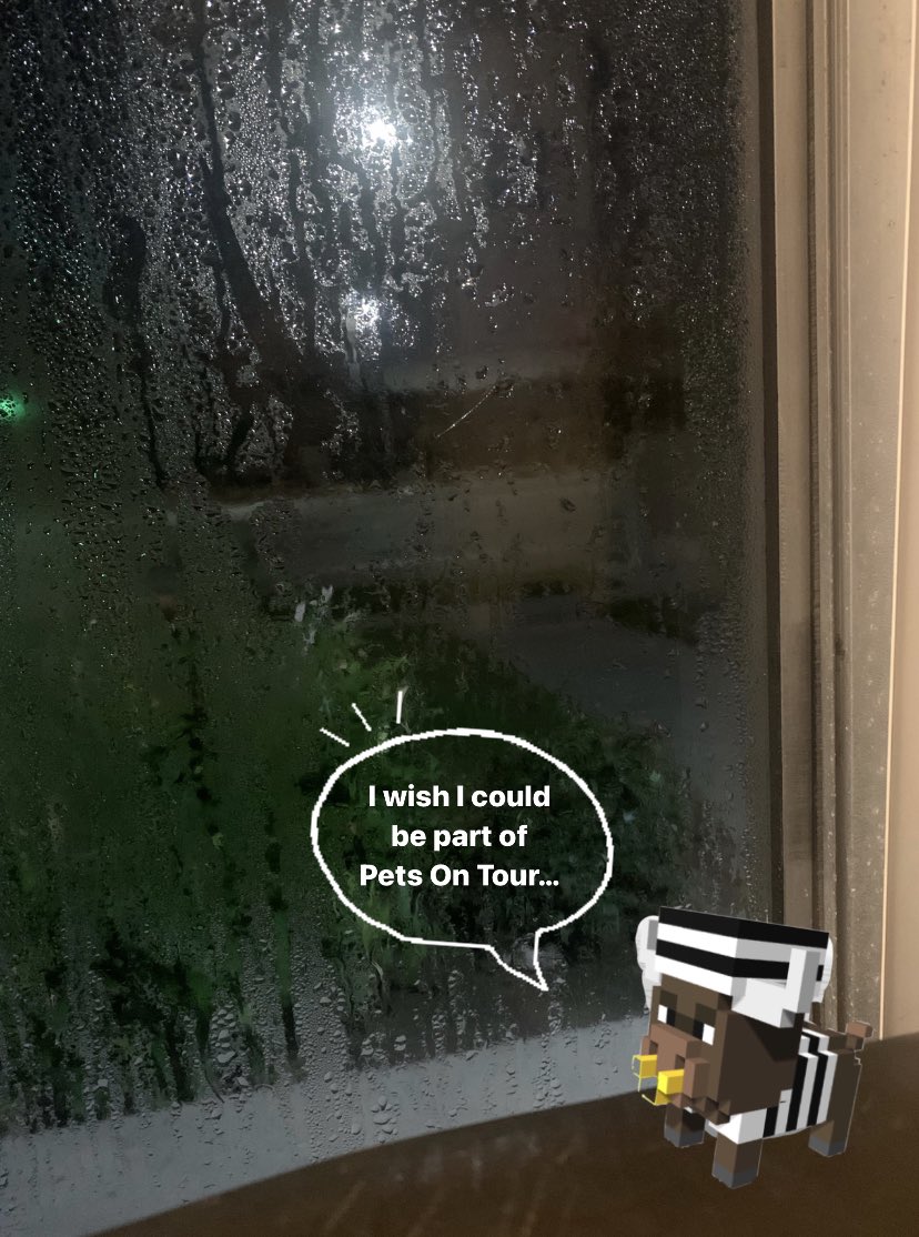 KingSwigg1's tweet photo. I was minding my own until Crypto Pet #690 aka “Bullish Breakdown” was found in my living after escaping my. Sayin he was ready to participate in the Pets On Tour. If you don’t own a CryptoPet yet.. Your missing out!! JOIN NOW https://t.co/S4yeKW0zi3
 #cryptopets @CryptopetsAR https://t.co/yKYrRq49XB