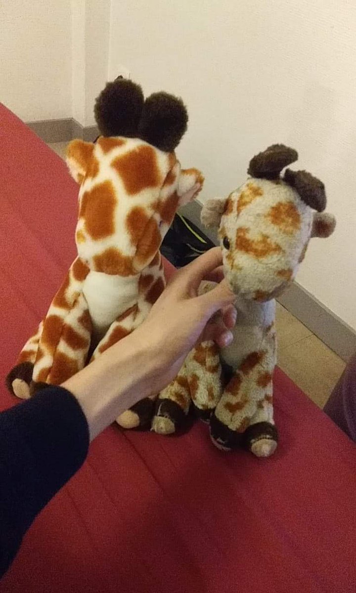 Antares28F's tweet photo. @leroidesrats Ça a droite mon doudou d'enfance venant d'Angleterre et a gauche le même neuf retrouver en vente au enchères 23ans après. La vrai question c'est glow up ou glow down ? 🤣 https://t.co/O5QNUG6lKr