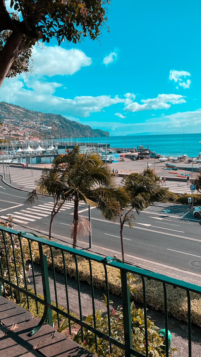 paddysteffen's tweet photo. Und wöchentlich grüßt das Murmeltier 😁. @chatgefluestere auf den Ohren und ein Spaziergang bei bestem Wetter durch Funchal 🇵🇹
@unge @MontanaBlack #chatgefluester https://t.co/XWkXSVnyX8