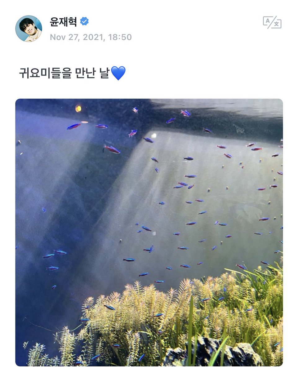 teuverse_id's tweet photo. [TRANS] 🦁
271121

Hari aku ketemu si gemes gemes 💙

@treasuremembers https://t.co/yFzFiCytLT