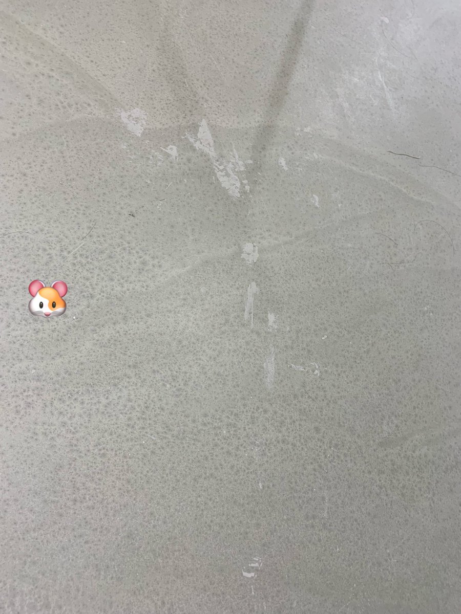 forbylele's tweet photo. 도예 공방 사장님이 알려주신 천지 귀여운 비하인드 .. ㅠㅠ
천러가 저 잘 만들었죠!! 하면서 자랑하다가 바닥에 이만큼 흘리고 갔대요 오른쪽은 지성이 흔적 ㅋㅋㅋㅋㅋㅋ 청소 하시기 전에 사진 찍어왔다용 그리고 끝나자마자 천러가 갑자기 저 산책할래요 하면서 도망(?) 나가서 https://t.co/Ea5Q1UIn87