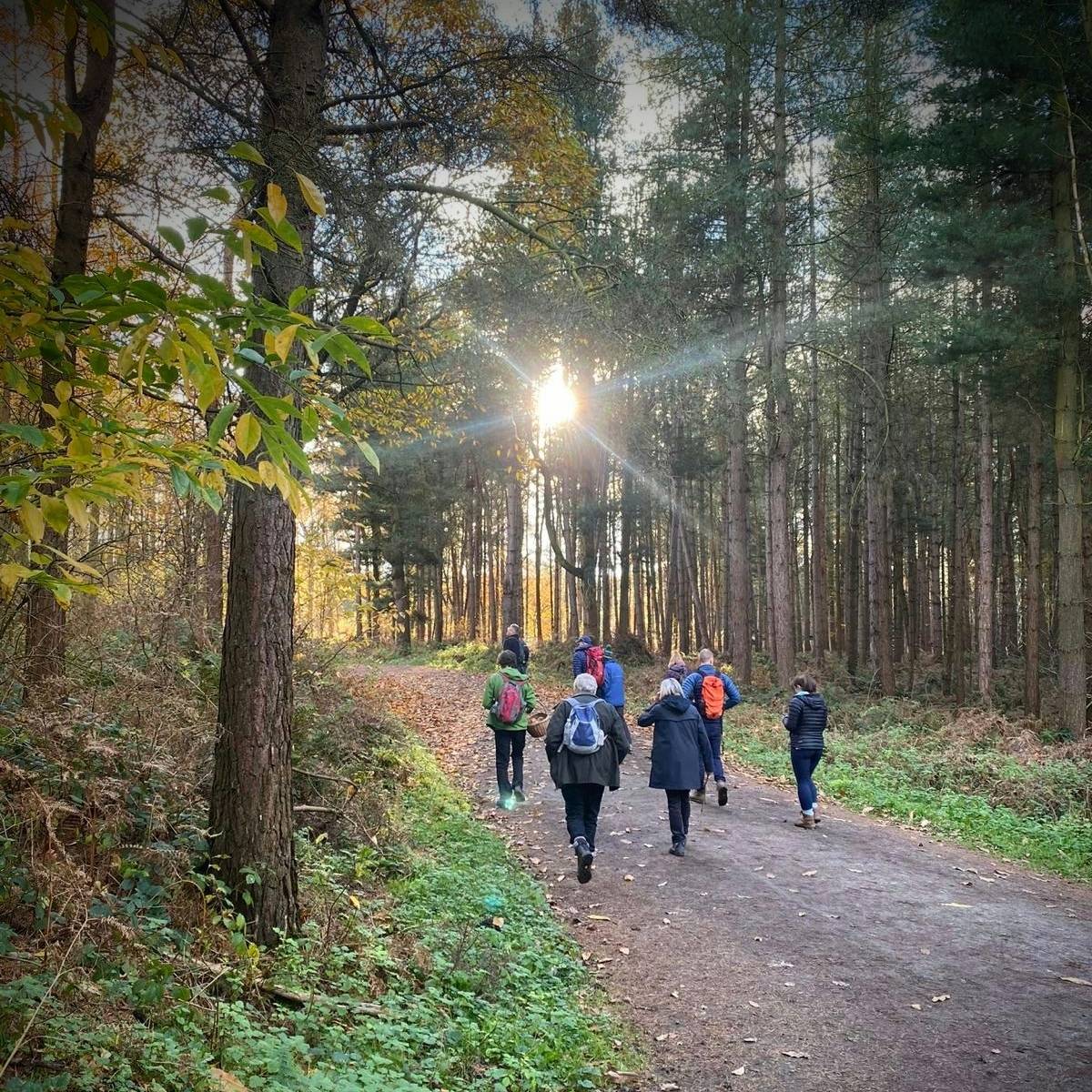 Forager Fez is running one of our final events of the season today and its been a beautiful year of foraging.

We want to thank you all for deep diving in to the wild with us. 

We're already planning for next year, you can find our calendar right here.

totallywilduk.co.uk/foraging-cours…