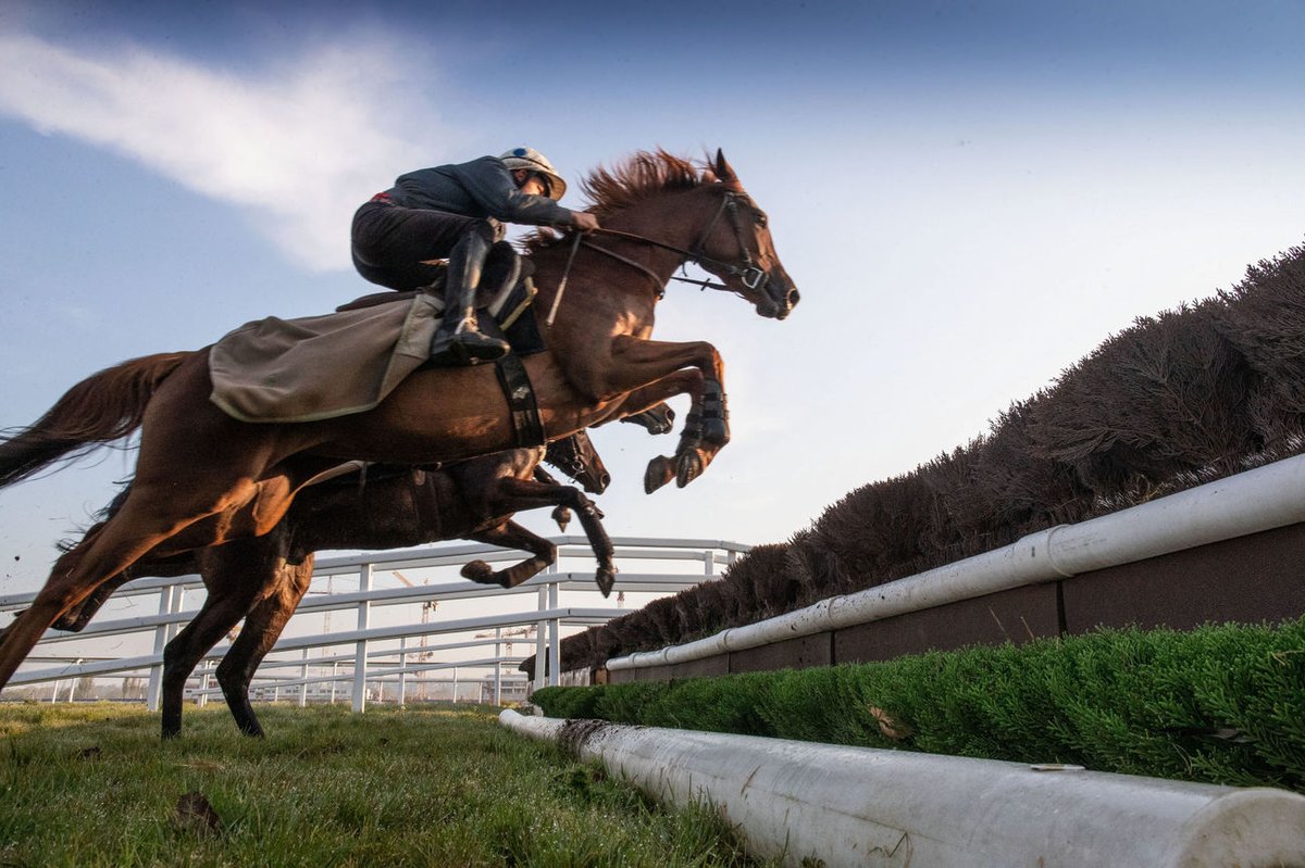 Charly Milpied tweet media