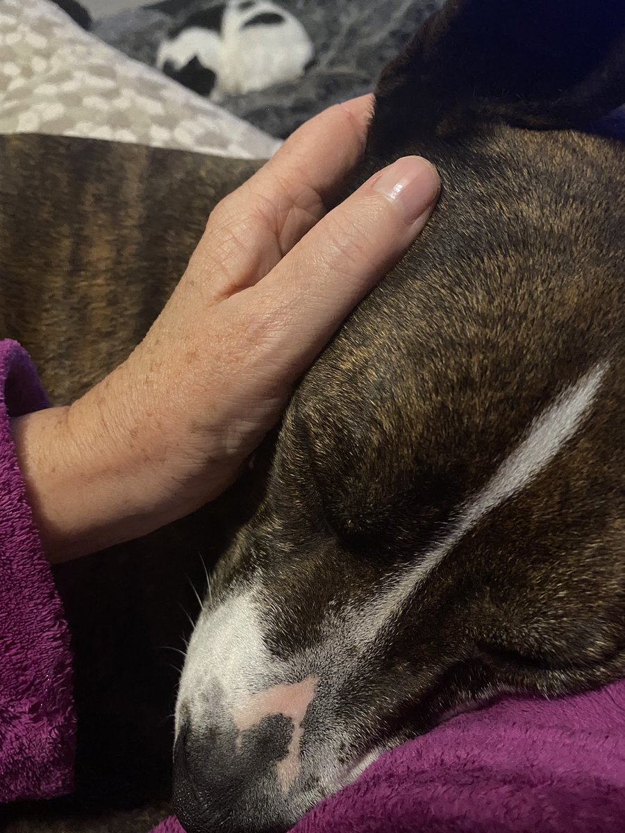 Prof Lorna Moxham tweet media