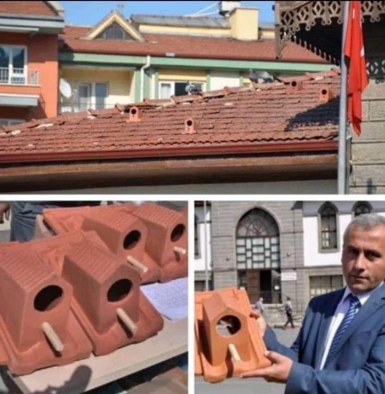 A Turkish company decided to produce roofs with holes to protect birds from cold and rain. Excellent! 👍🏼👏🏼 Source: Ragdae Dachan FB