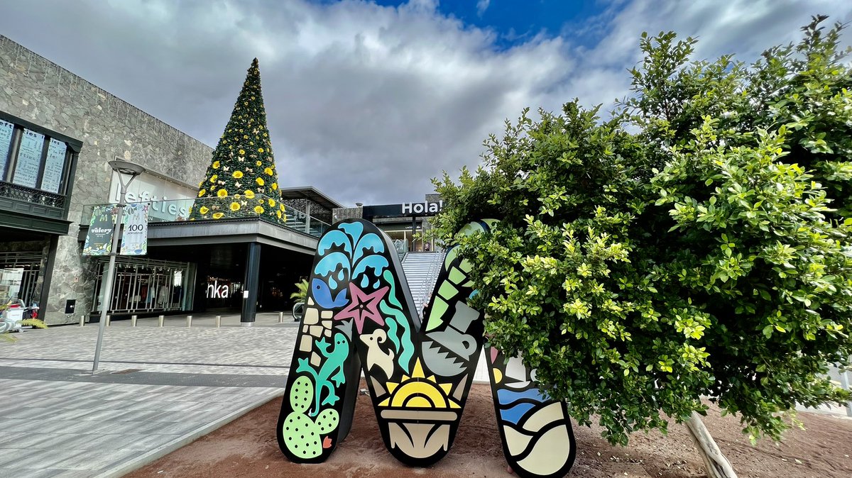 InfoGranCanaria's tweet photo. Funniest Christmas tree I’ve ever seen, greetings from #grancanaria Happy Advent Time 🎄🌻🇮🇨 https://t.co/fHy6mqCzSt