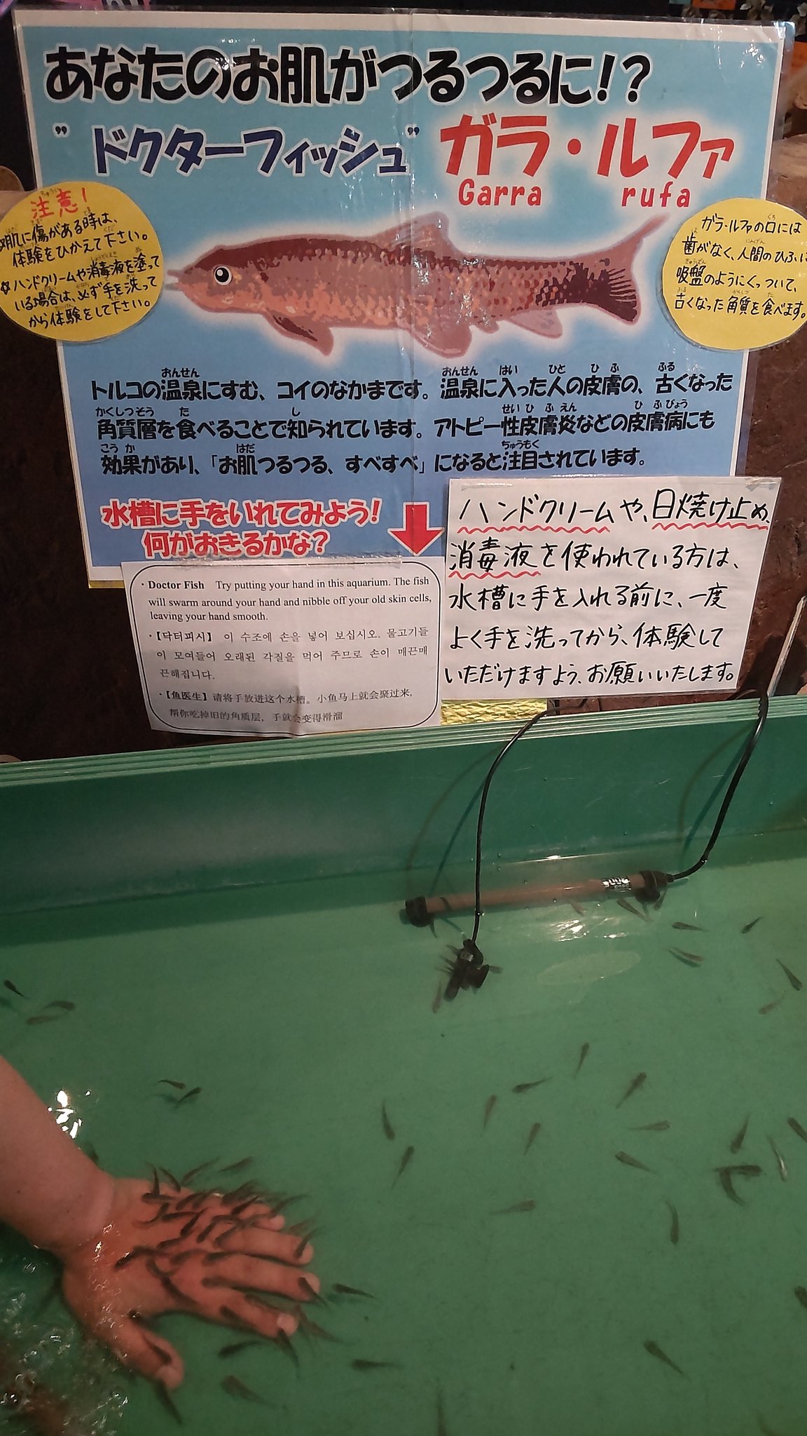 雷神狗燦 ライ ドクターフィッシュ 静岡の某リゾートホテルにて を入れた事がありますが ぎゃああああ ﾟdﾟ な感触だったのを思い出し 今日は遠慮致しましたww マリエント 八戸市 水族館 T Co Kvepndvegm Twitter