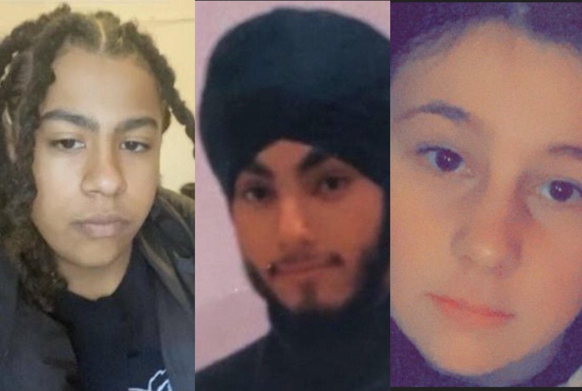 P.A.L.M. tweet media