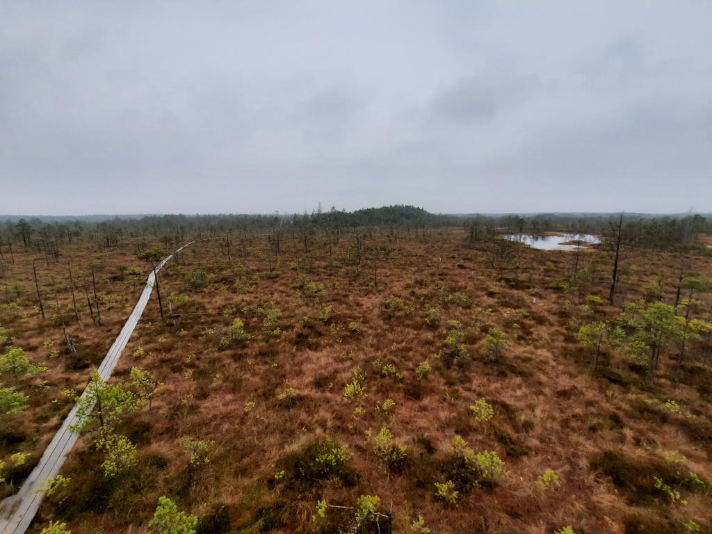 clijng's tweet photo. Links: waar de natuur geofferd is voor onze potgrond, rechts: waar het veen nog veen is. Groetjes uit Letland. https://t.co/hARzJMfNsC