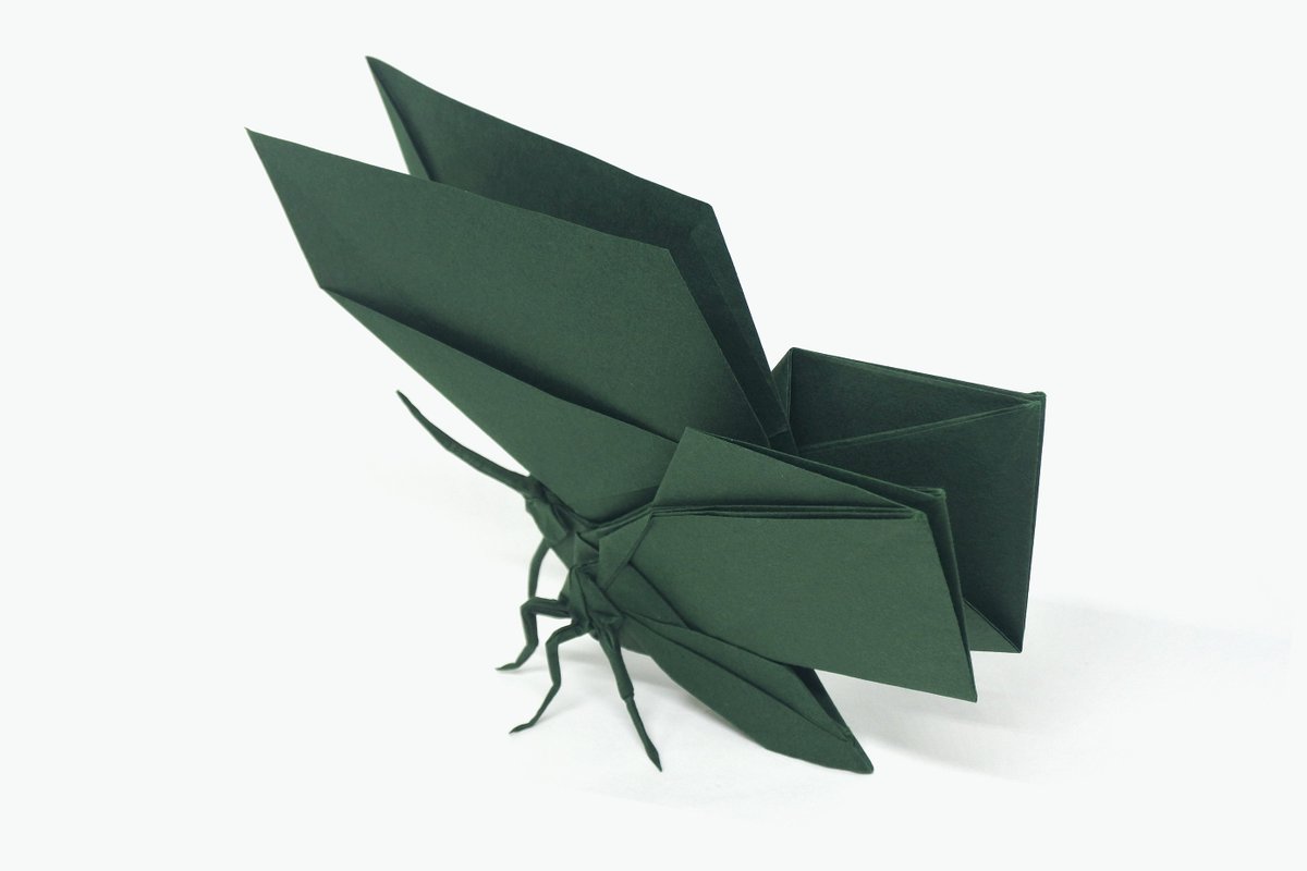 Static Butterfly／静态蝴蝶
by Tu Kaiming／涂开明