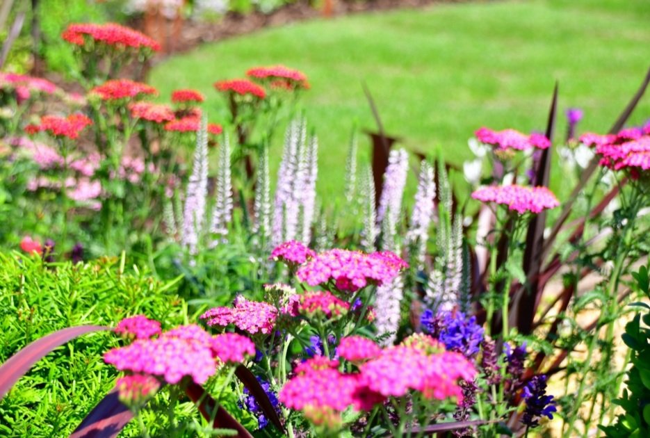 Belvoir Castle Garden Show tweet media