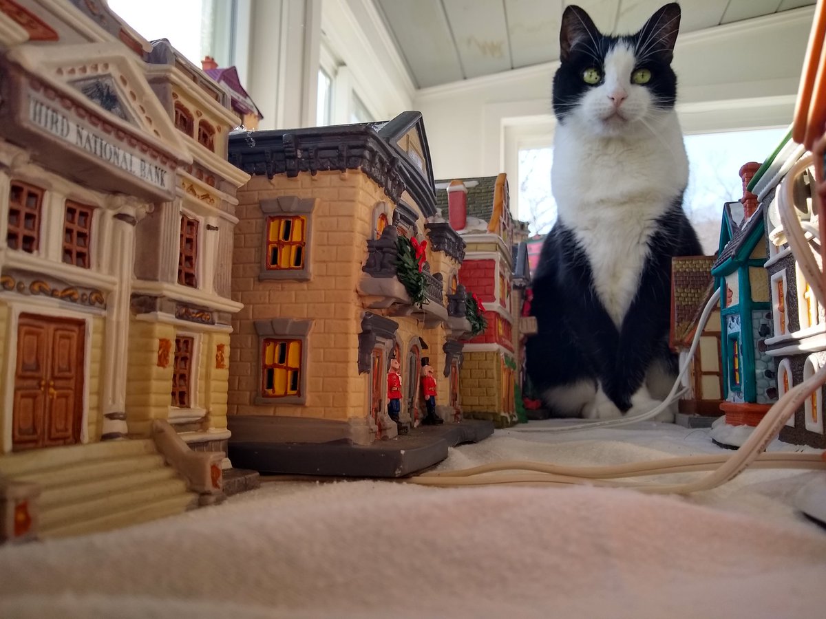 The_Rabbit42's tweet photo. Kaiju attack! https://t.co/E9TP4Lb8As