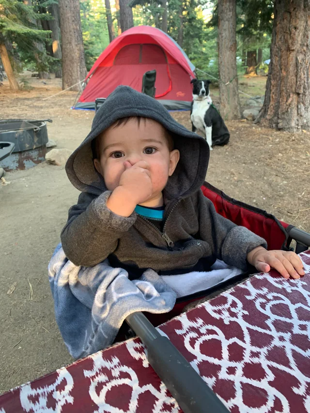 CampingEdition's tweet photo. Bandwagon lol last year camping when our son was 14 months.
#baby #camping
#camping #camping #campinglife #campingwithdogs #Aaron  #Packers #Miles  #baekhyun #campingtrip #campingcollective #campingfun #campingoff  #campinggear #campinglif https://t.co/Z0aQI4tLAS