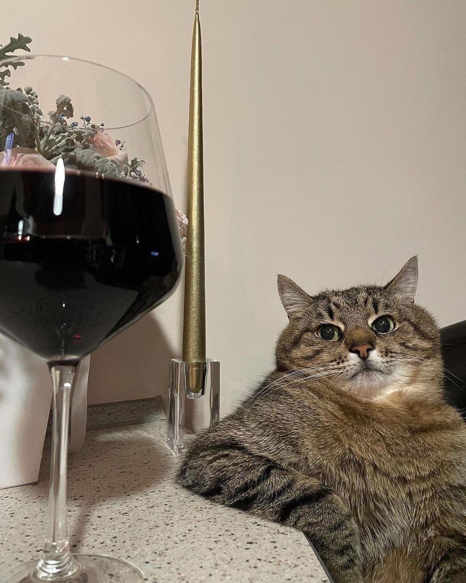 Ivy and Moon tweet media