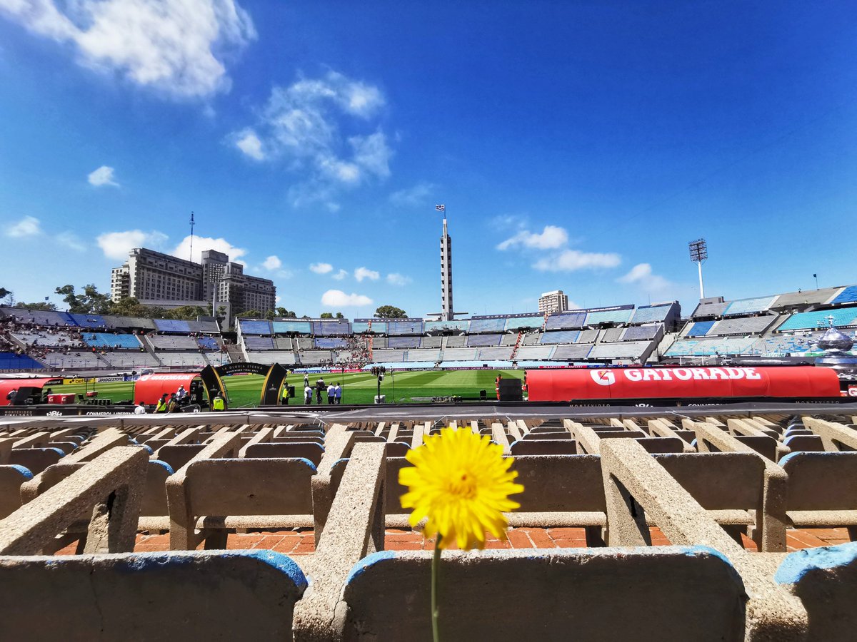 TheLibertadores's tweet image. ☀🏟🏆 It&apos;s a postcard perfect day for football in Montevideo! 

CONMEBOL #Libertadores | #GloriaEterna