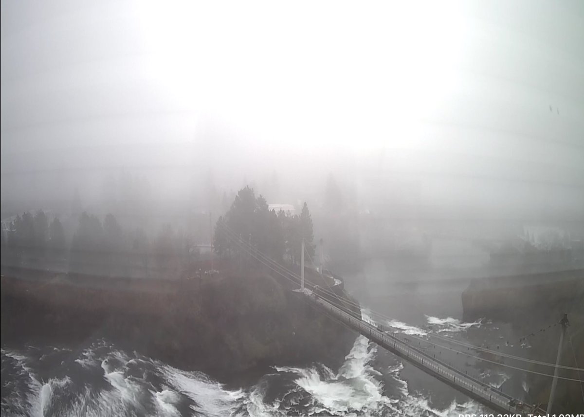 Don Barbieri tweet media