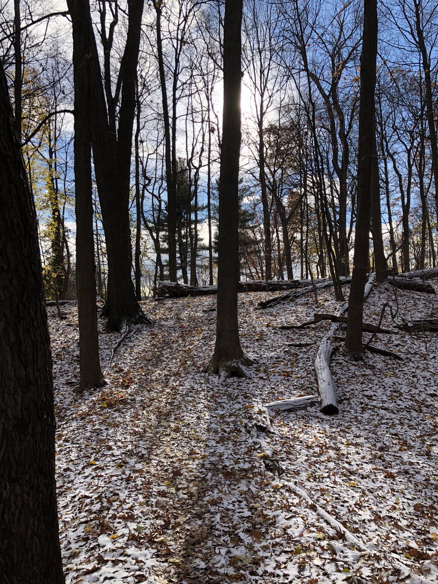 NorthCoastHab87's tweet photo. A little bit of everything in Washington Grove today. #rocthewinter @BrookeWxTV @JamesGilbertWX @NWSBUFFALO @WunderCave #ShareYourWeather https://t.co/wq9eSMGZAH