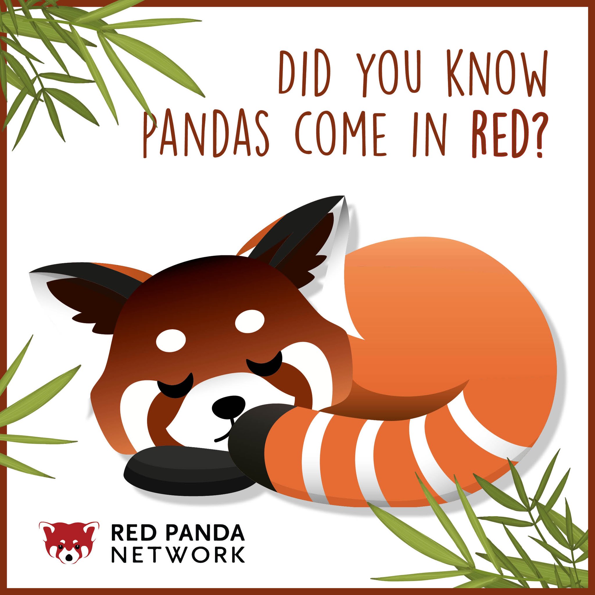 7 Things You Didn't Know About Red Pandas - Scientific American Blog Network