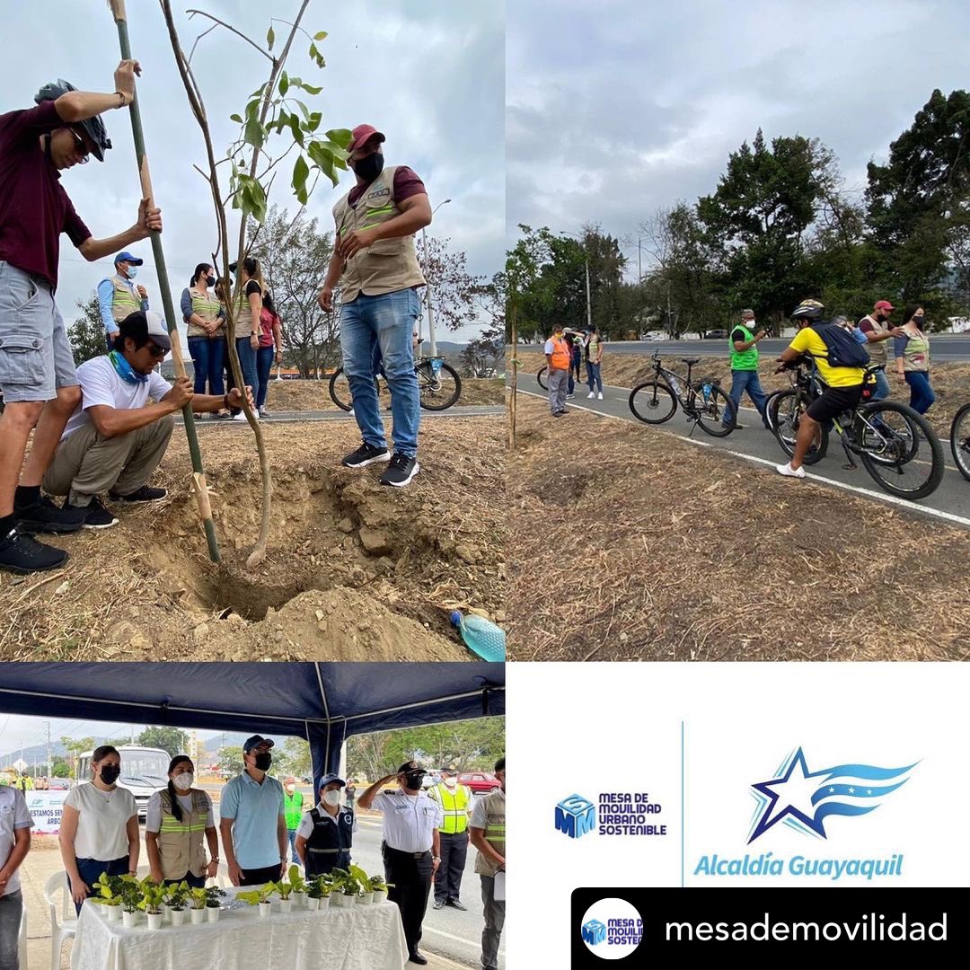 Hoy junto a la <a href="/ATMGuayaquil/">ATM Guayaquil</a> nos sumamos a la arborización de Vía a la Costa, organizada por la #DirecciónÁreasVerdes de <a href="/alcaldiagye/">Muy Ilustre Municipalidad de Guayaquil</a> 🌳 #GuayaquilSostenible #reforestar