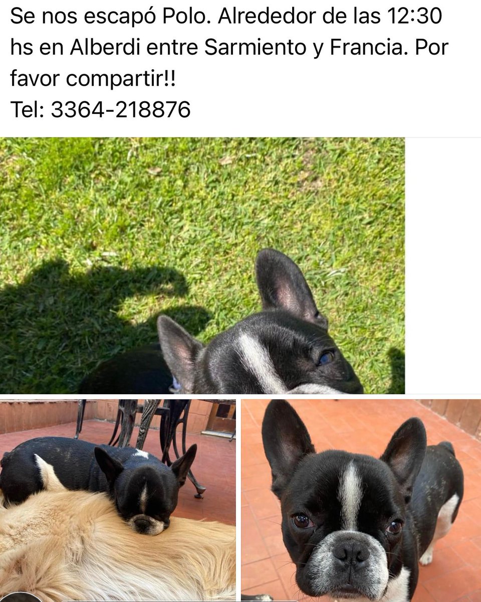 CataaDeMarco1's tweet photo. Por favor difundir!! https://t.co/cxIqgC1rG4