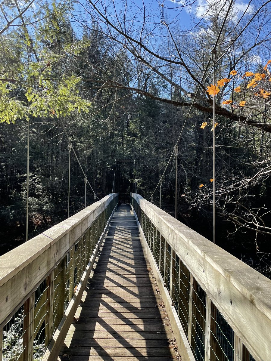 Ryan Hanrahan tweet media