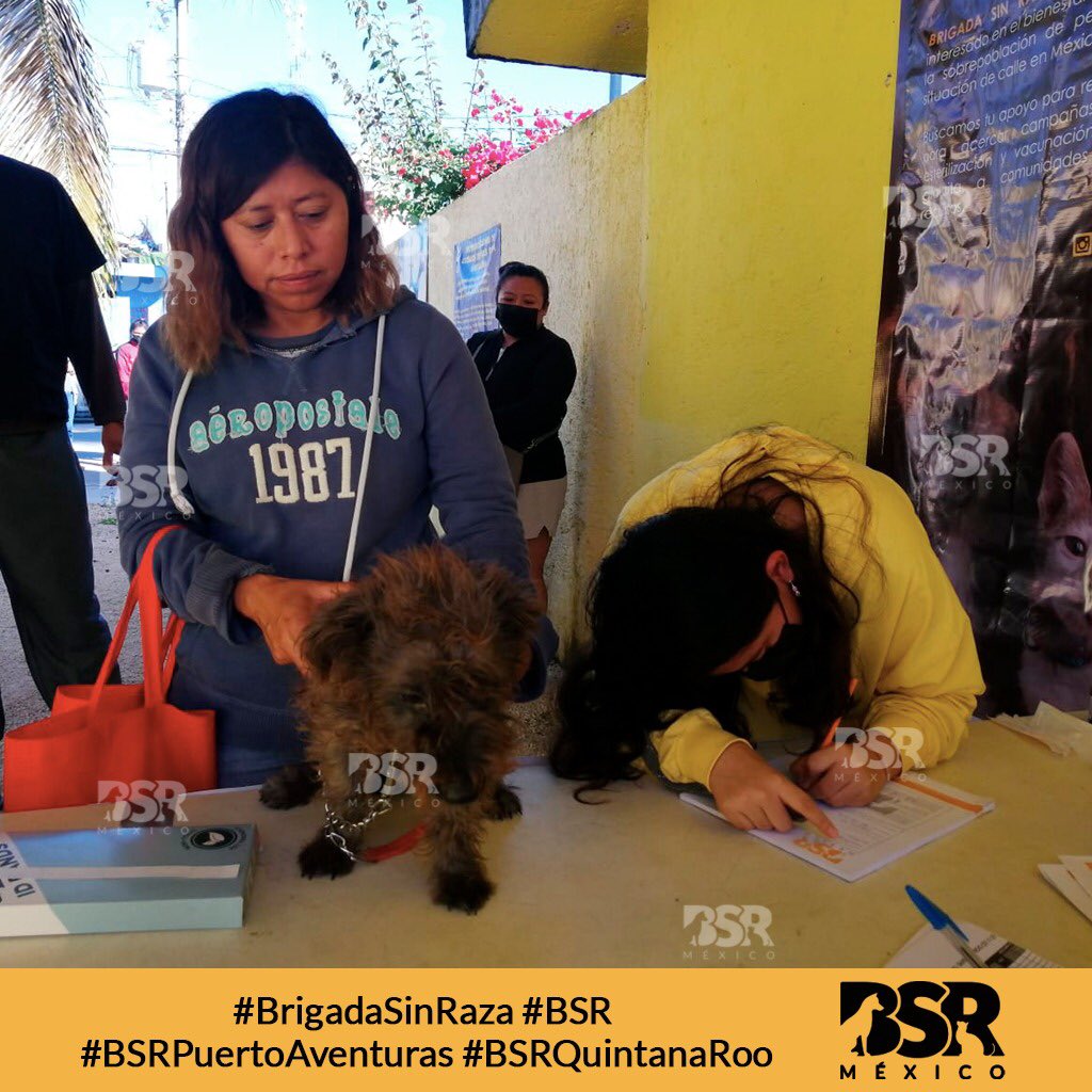 Brigada Sin Raza tweet media