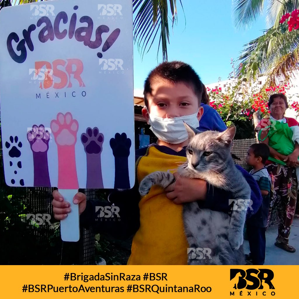 Brigada Sin Raza tweet media