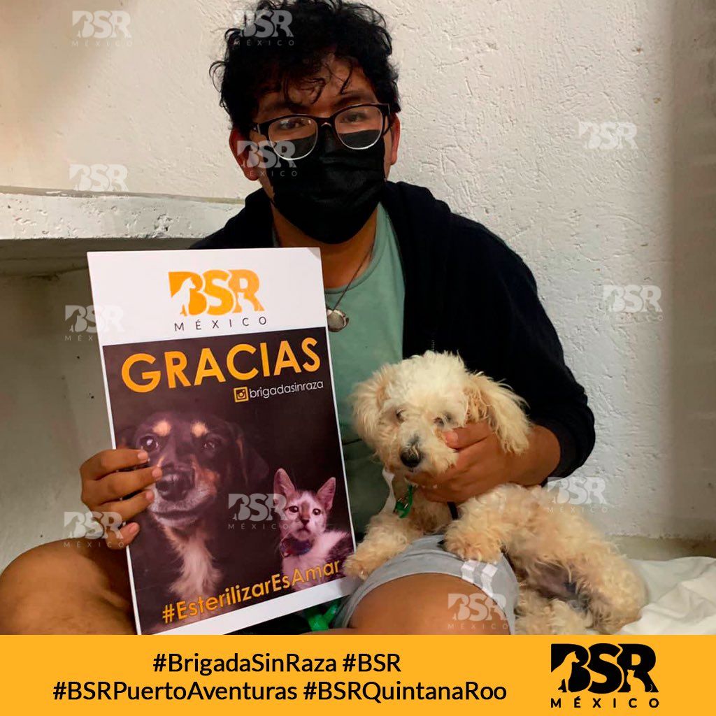 Brigada Sin Raza tweet media