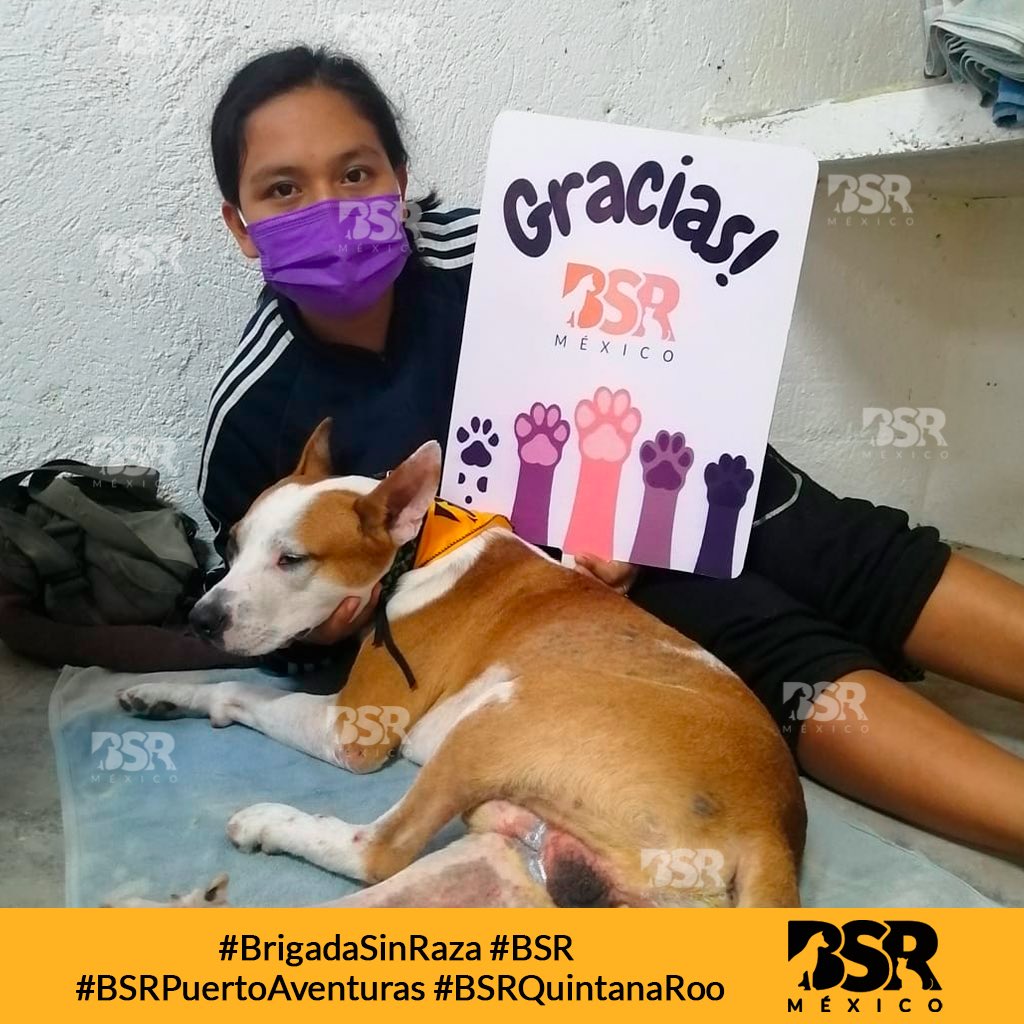 Brigada Sin Raza tweet media