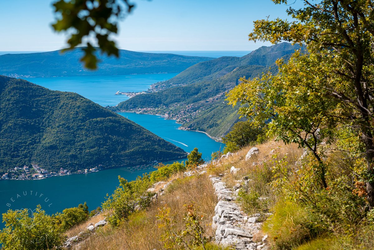 beautifulmne's tweet photo. View on Boka Bay.🤗❤
.
.
#bokabay #mediterranean #adriaticsea #europe #mapofeurope #geography #nature #photography #photooftheday #landscape #crnagora #kotor #tivat #hercegnovi https://t.co/28KUv175ML